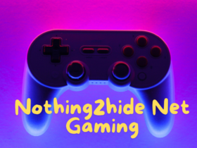 Nothing2hide Net Gaming